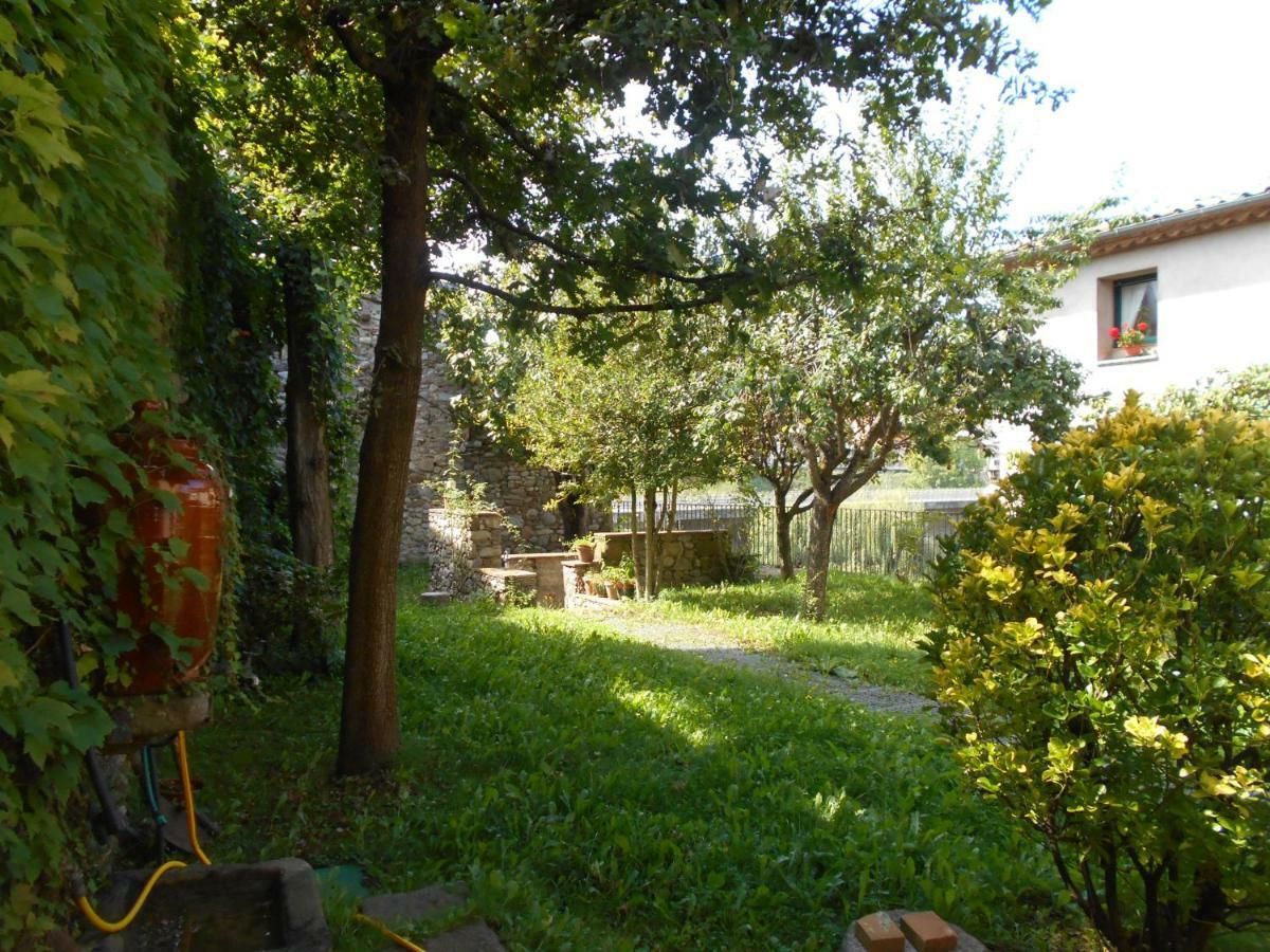 Ca'L Mossen Villa Sant Joan de les Abadesses Buitenkant foto